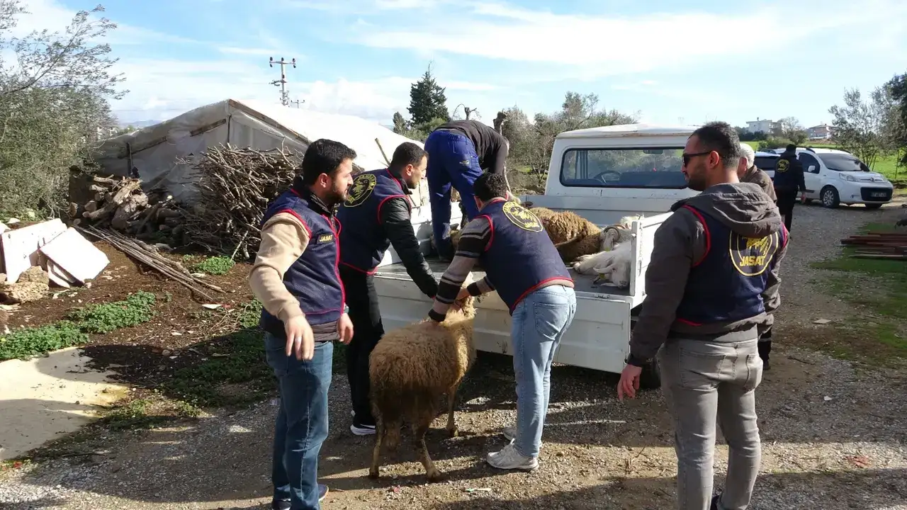 Manavgat’ta Hayvan Hırsızlığına Darbe! 3